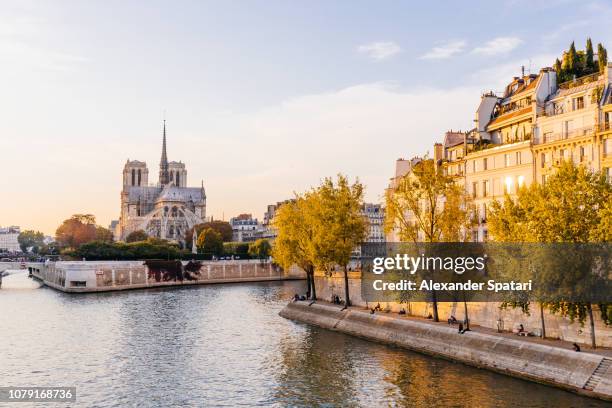 paris skyline with seine rive, notre-dame cathedral during sunset, paris, france - church color light paris stockfoto's en -beelden