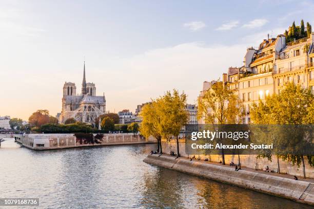 paris skyline with seine rive, notre-dame cathedral during sunset, paris, france - paris france skyline stock pictures, royalty-free photos & images