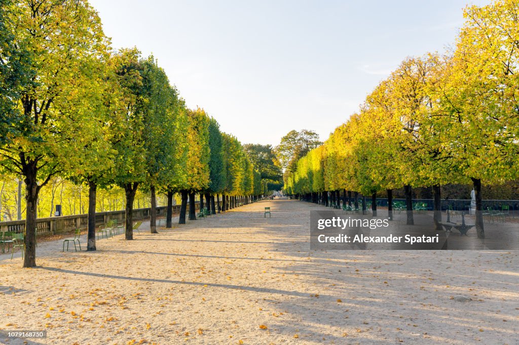 Tuileries Garden in Paris, France