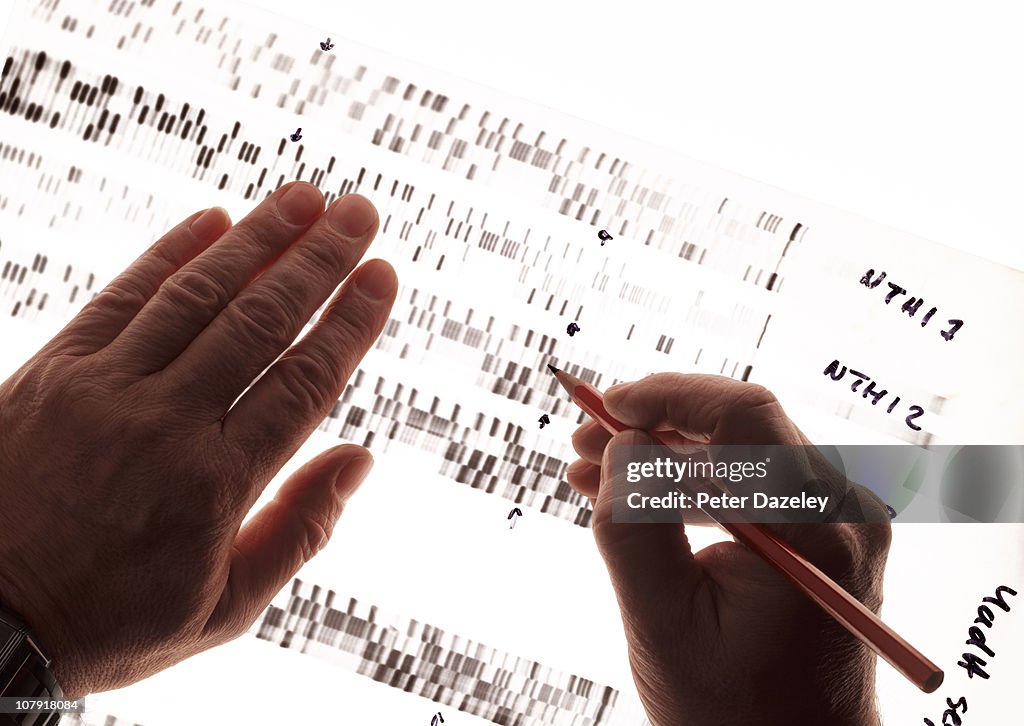 Criminologist studying DNA