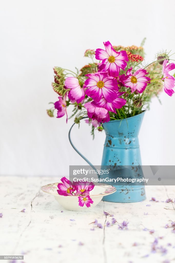 Vivid Cosmos in Old Watering Can