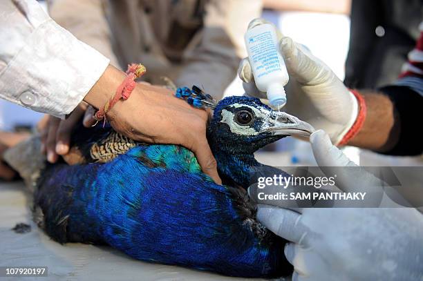 26 Animal Care Charitable Trust Photos and Premium High Res Pictures - Getty Images 26 Animal Care Charitable Trust Photos and Premium High Res Pictures - Getty Images