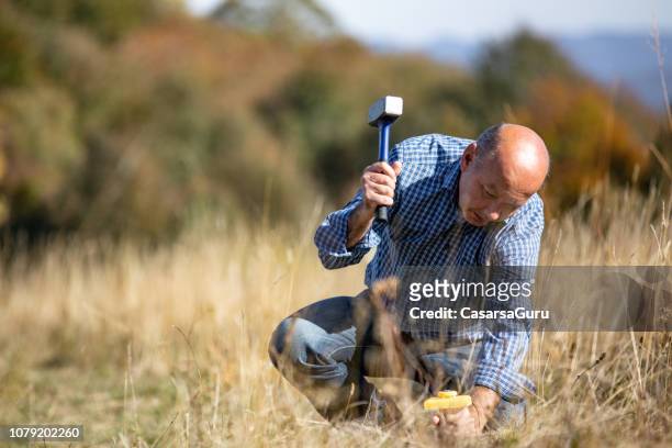 surveyor hammering boundary marker in meadow - land boundary stock pictures, royalty-free photos & images