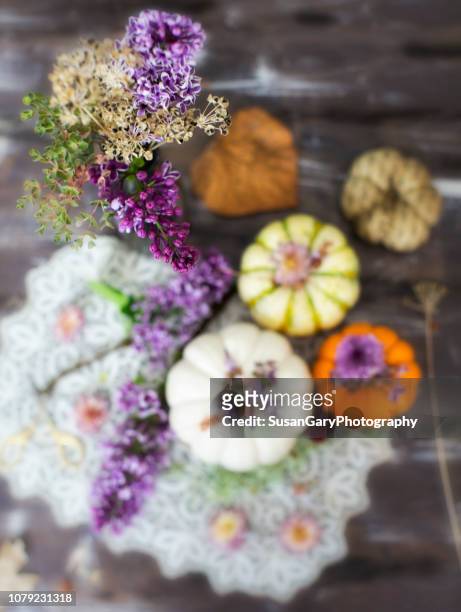 autumn lilacs with pumpkins - chrysanthemum lace stock pictures, royalty-free photos & images