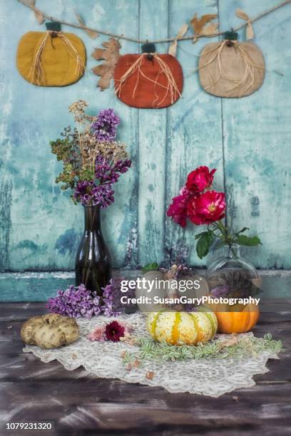 autumn still life with lilacs and pumpkins - chrysanthemum lace stock pictures, royalty-free photos & images