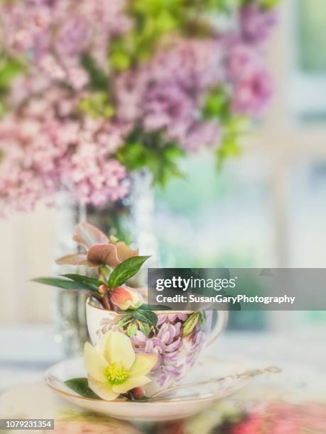 lilacs with vintage tea cup and hellebores flowers - french doors stockfoto's en -beelden