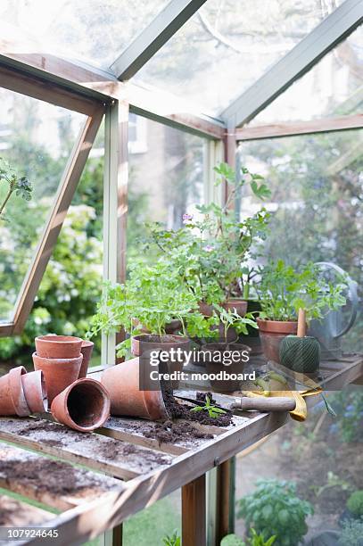 overturned pots on workbench in potting shed - green house stock pictures, royalty-free photos & images
