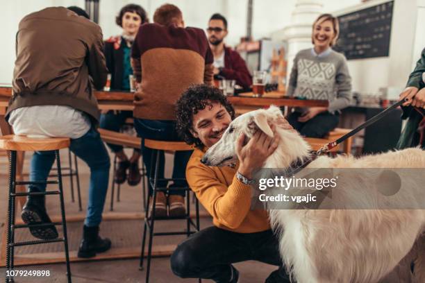 after work drinks in craft brewery - ginger beer stock pictures, royalty-free photos & images