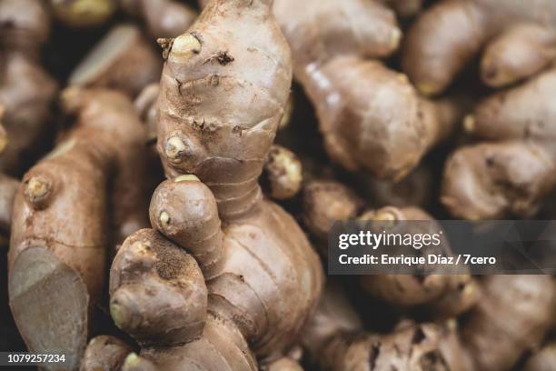 ginger background - ginger stock pictures, royalty-free photos & images