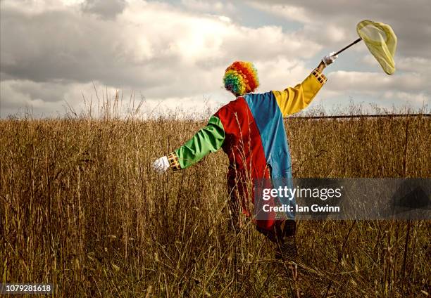 clown with butterfly net_1 - ian gwinn stock pictures, royalty-free photos & images