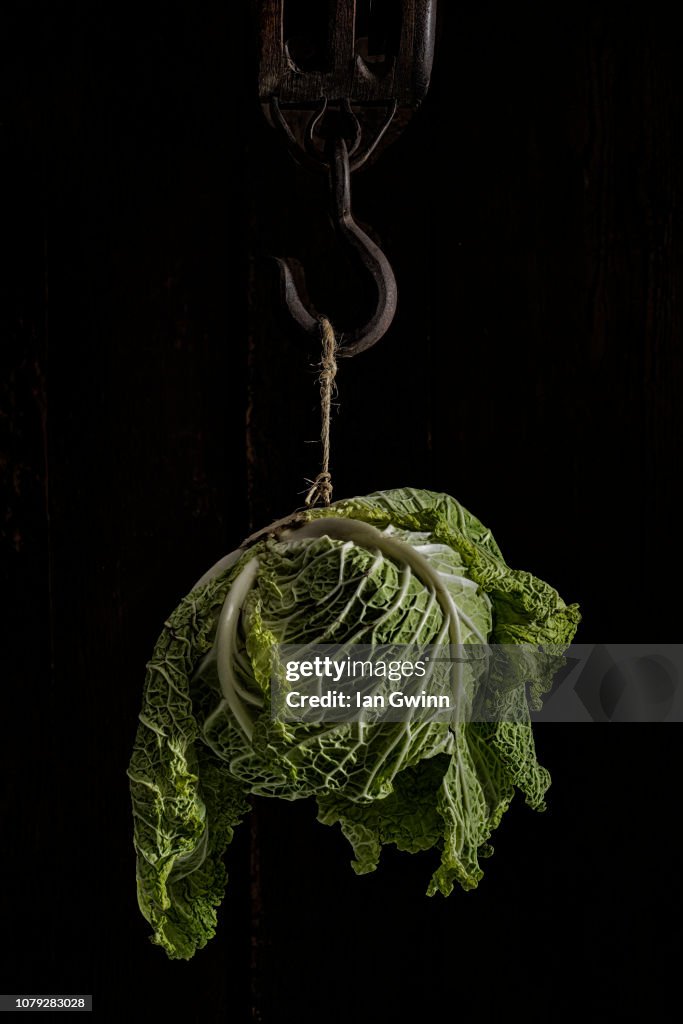 Cabbage on Hook_1