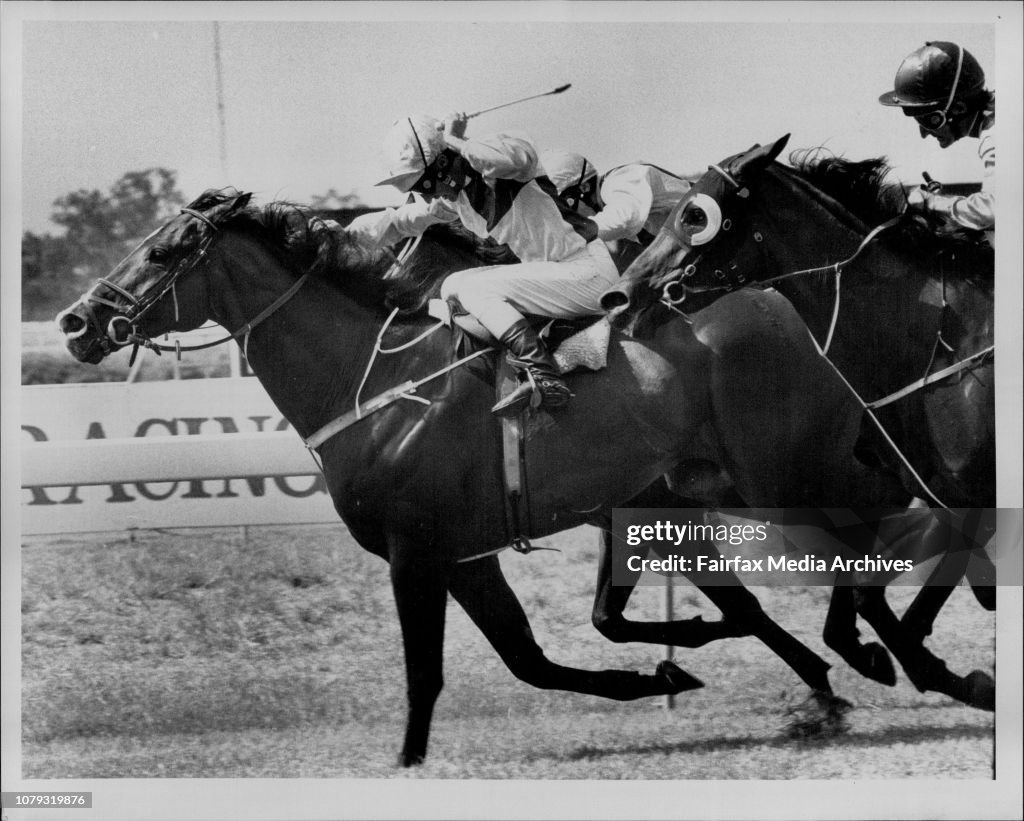 Warwick Ram Races - Winner ... No 7 Robert Allan.R to S ... No 7 Robert Alan.Jockey Malcolm Johnston.