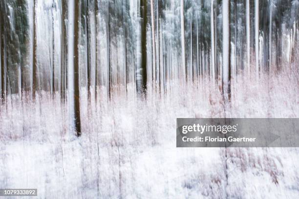 Long exposure of a forest is pictured near the german-polish-czech border triangle at the Zittauer Mountain on January 02, 2019 in Oybin, Germany.