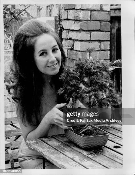 Maree pruning one of her Bonsai fir trees.Maree Viazim of Marrickville is a member of the cast of the musical "anything Goes" now playing at the...