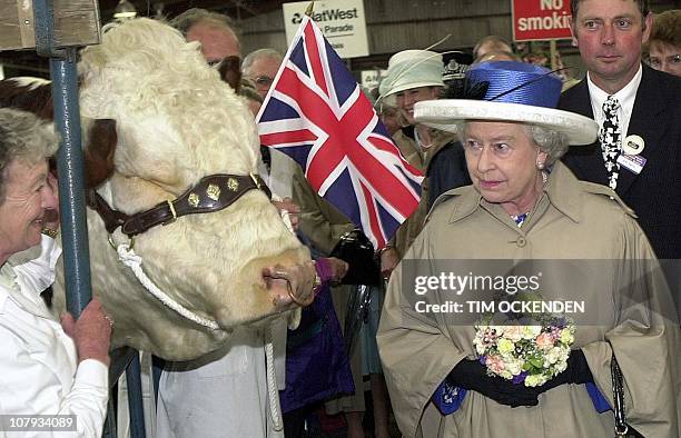 Queen Elizabeth II passes Saraband Ferrari the bull 07 June 2002, while visiting the South of England Show at Ardingly, West Sussex, on the latest...