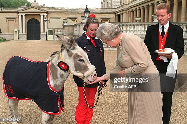 Britain's Queen Elizabeth II feeds a sugarlump to Tinker the Donkey, watched by Rachel Dancer from Telford, Shropshire, 12 June, after the Queen met...