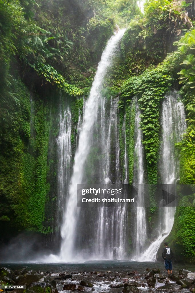 Air Terjun Tiu Kelep waterfall near Rinjani, Senaru, Lombok, Indonesia, Southeast Asia