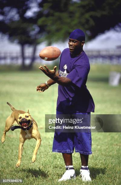 Casual portrait of Virginia Tech QB Michael Vick playing catch with pit bull dog Champagne. Blacksburg, VA 7/13/2000 CREDIT: Heinz Kluetmeier