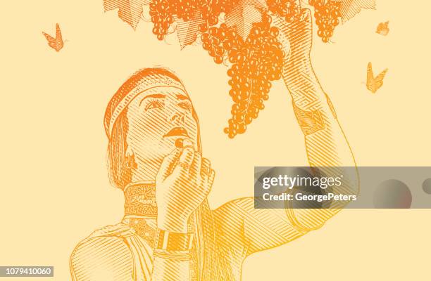 woman picking wine grapes - grape leaf stock illustrations