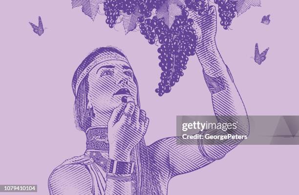 woman picking wine grapes - grape harvest stock illustrations