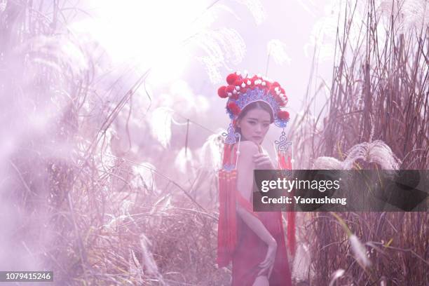 chinese opera performer in the fall outdoor grass field - chinese opera stockfoto's en -beelden