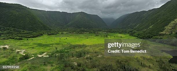 waipio valley - far side - waipio valley stock-fotos und bilder