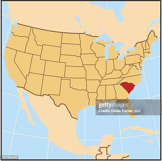 south carolina reference map - locator map stock illustrations