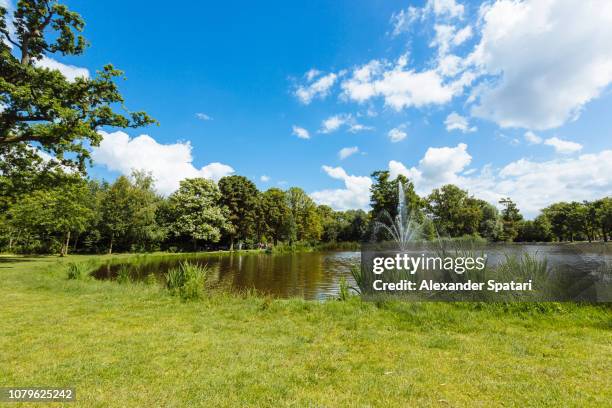 vondelpark on a bright sunny summer day, amsterdam, netherlands - amsterdam blue sky stock-fotos und bilder