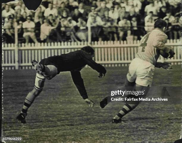 Bob Singer Rugby 65 Bob Hagan Stock Photos, High-Res Pictures, and Images - Getty Images
