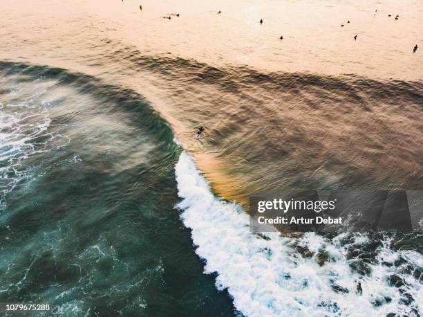 surfer riding wave in the ocean beach of san francisco during the sunset. - californie surf stockfoto's en -beelden