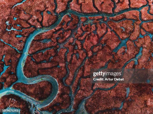 beautiful pattern created by river delta taken from above. - natuurlijk patroon stockfoto's en -beelden