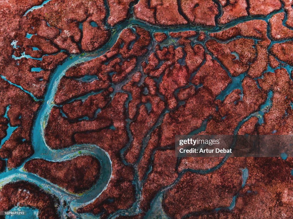 Beautiful pattern created by river delta taken from above.