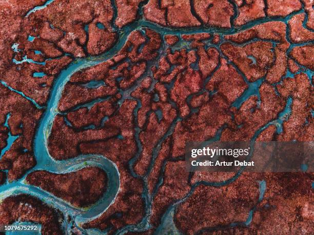 beautiful pattern created by river delta taken from above. - river bend land feature stock pictures, royalty-free photos & images