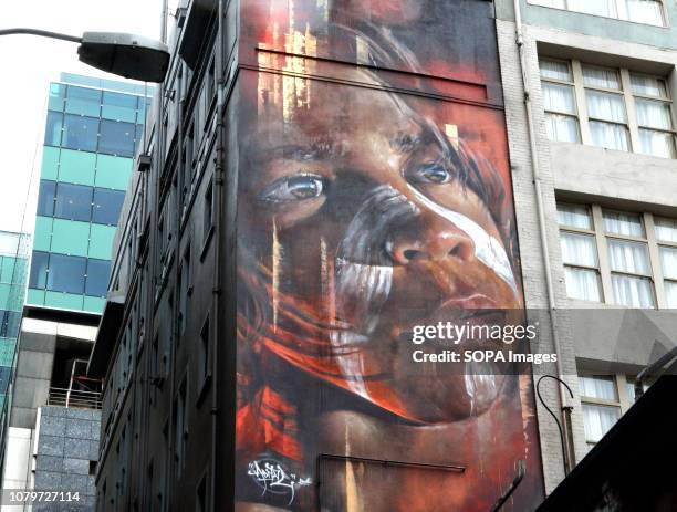 Street art in the Hosier Lane area of Melbourne. Hosier Lane is the Granddaddy of laneway art commissions in Melbourne and is arguably where the...