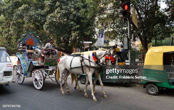 Cariole Photos and Premium High Res Pictures Getty Images