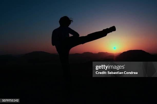 women doing tae kwon do(ahp cha-gi) in the wadi rum desert, silhouette at sunset, jordan - gi abbigliamento per arti marziali foto e immagini stock
