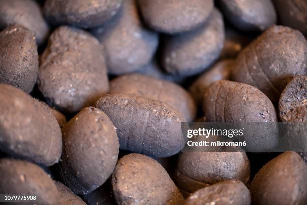 coal briquettes - briketts stock-fotos und bilder