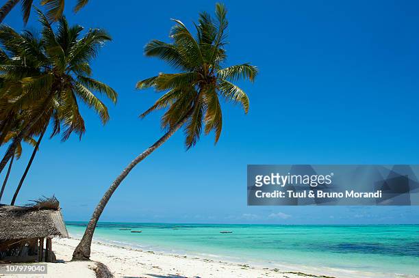 tanzania, zanzibar island, jambiani beach - zanzibar fotografías e imágenes de stock
