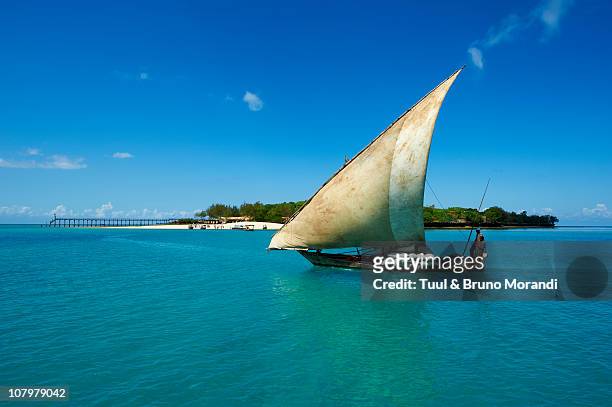 tanzania, zanzibar, dhow at  prison island - dhow stock pictures, royalty-free photos & images
