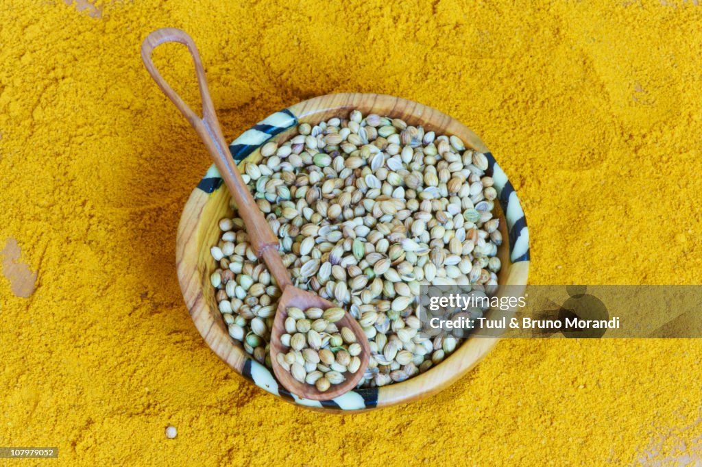 Tanzania, Zanzibar, spice garden, coriander