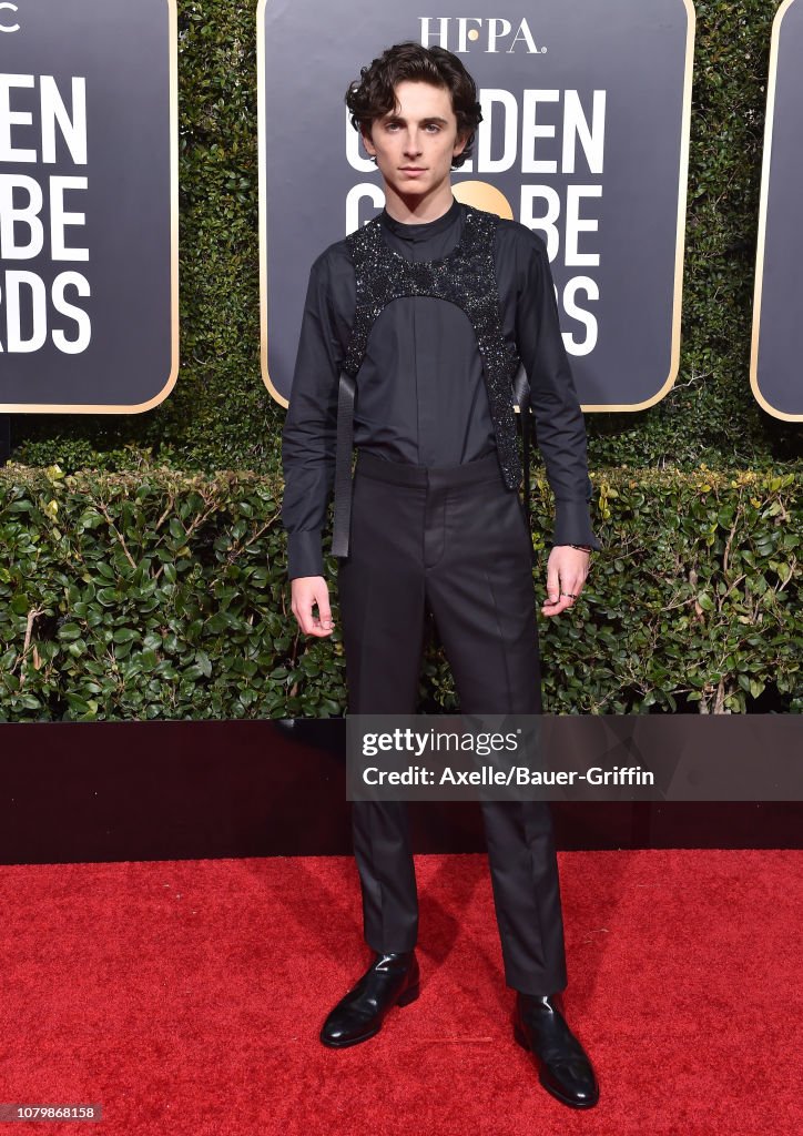 76th Annual Golden Globe Awards - Arrivals