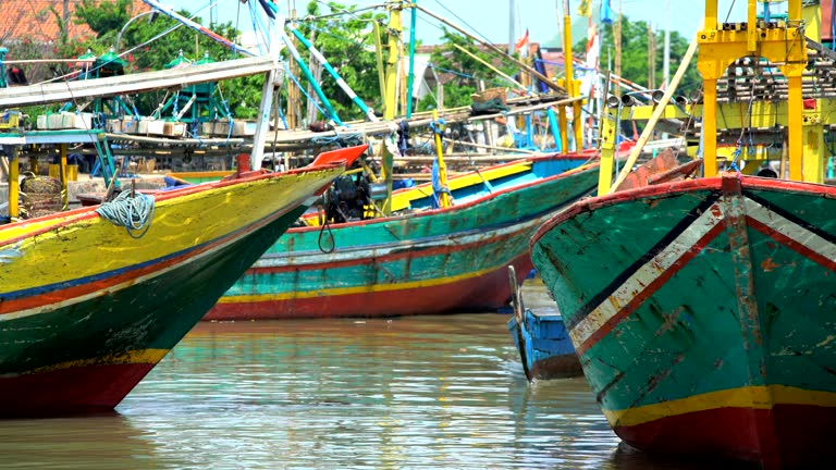 Fish Java Indonesia 2,521 Indonesian Fishing Stock Videos, Footage, & 4K Video Clips ...