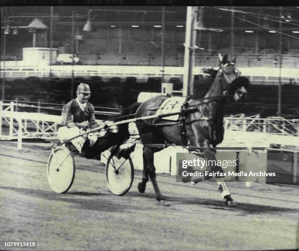 59 Harold Purcell Stock Photos, High-Res Pictures, and Images - Getty ...