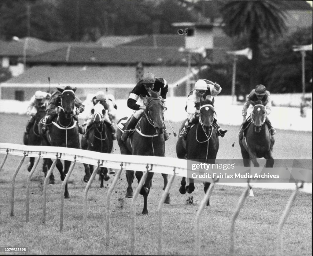 Randwick Races - Race 6 Frank Packer Plate.Finish: Dalmacia. April ...