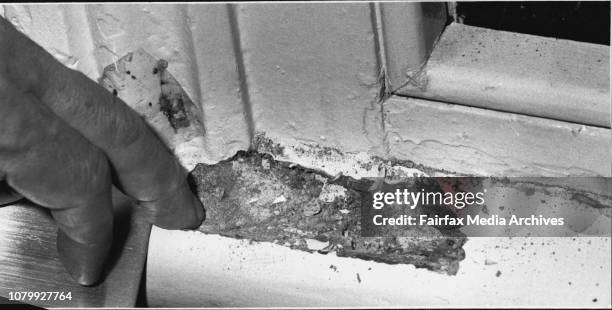 Slum conditions in public housing at Woolloomooloo".White ants destroying the floorboards in the bedrooms of the home of Sung Cho and wife Ramja at...