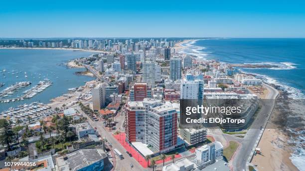 view of punta del este city, aerial view, drone point of view, uruguay - punta del este stock-fotos und bilder
