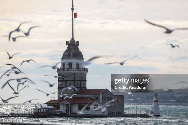 View of the Maiden's Tower, an iconic landmark of Istanbul, the only city in the world standing upon two continents Asia and Europe, as seagulls fly...