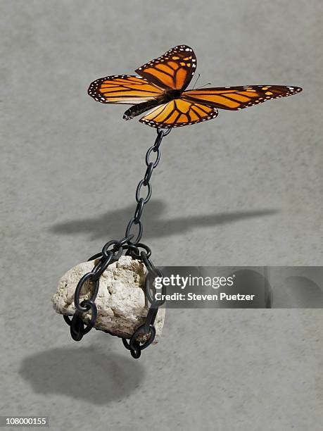 Carrying Heavy Rock Photos and Premium High Res Pictures - Getty Images