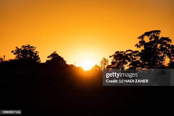 sunset on a rural farm | victoria | australia - outback stock pictures, royalty-free photos & images