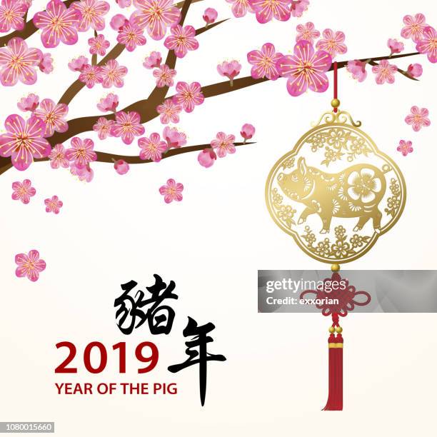 146点のスモモの木イラスト素材 Getty Images 146点のスモモの木イラスト素材 Getty Images